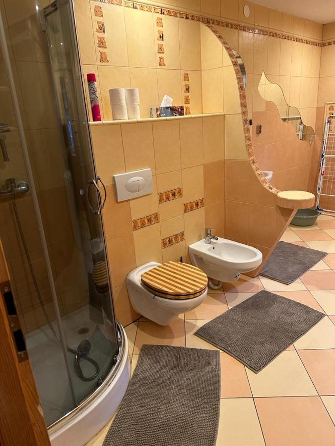 Ferienwohnung Agroturystyka Alpaka Konradow Konradow  Exterior foto
