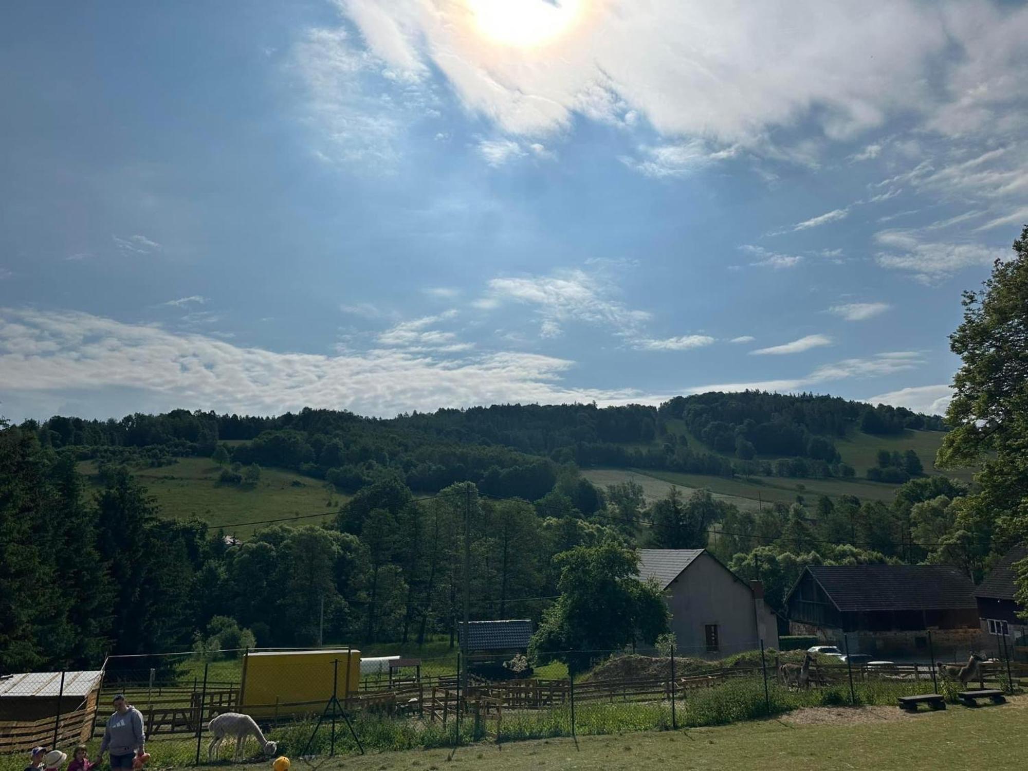 Ferienwohnung Agroturystyka Alpaka Konradow Konradow  Exterior foto