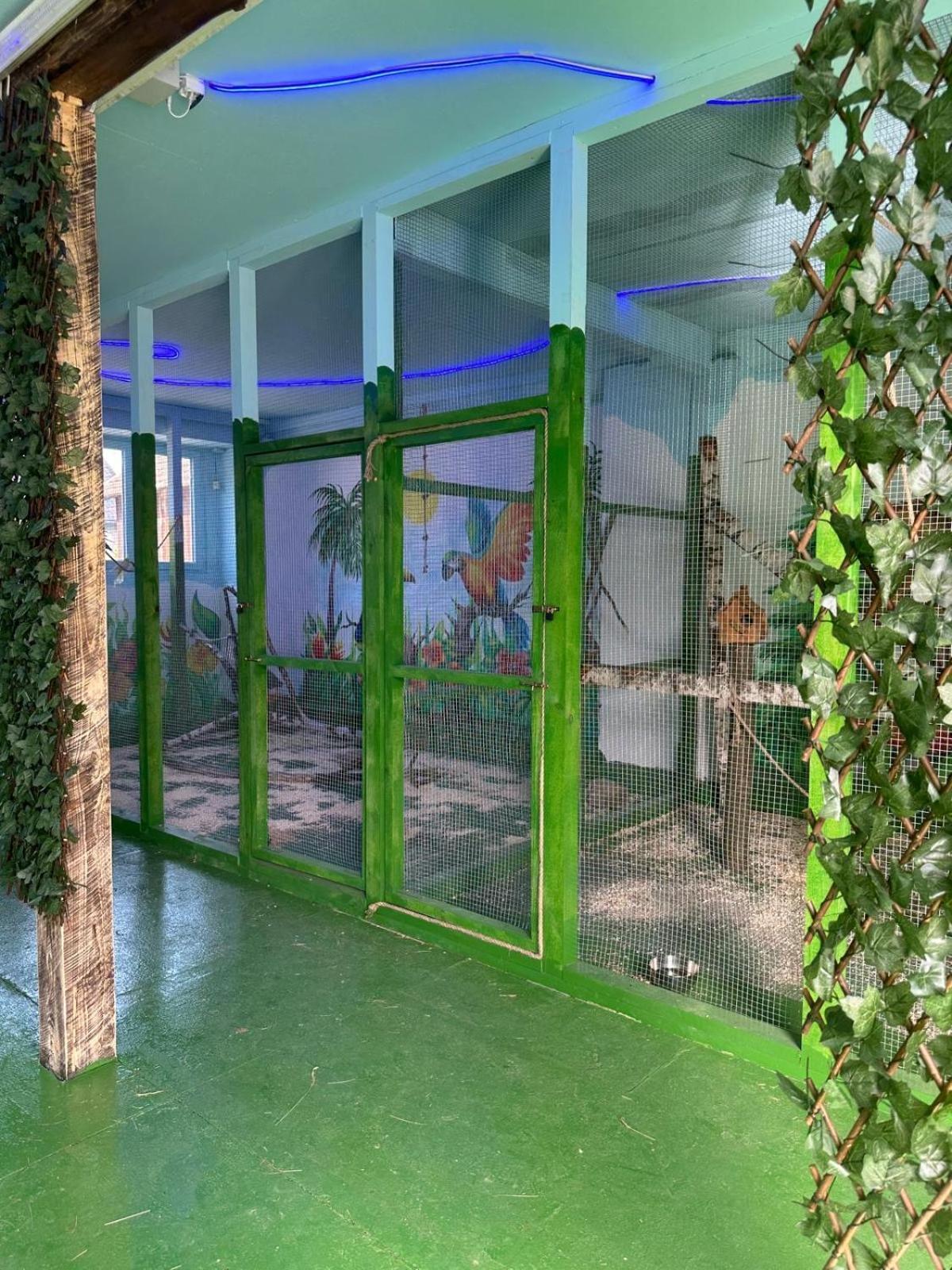 Ferienwohnung Agroturystyka Alpaka Konradow Konradow  Exterior foto