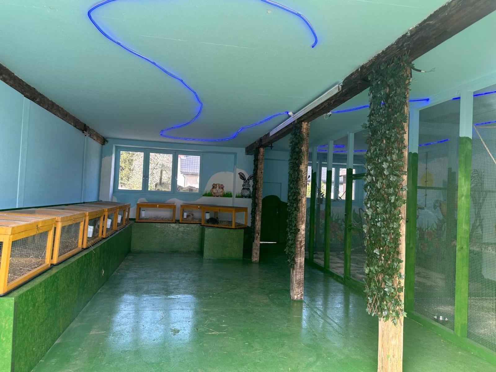 Ferienwohnung Agroturystyka Alpaka Konradow Konradow  Exterior foto