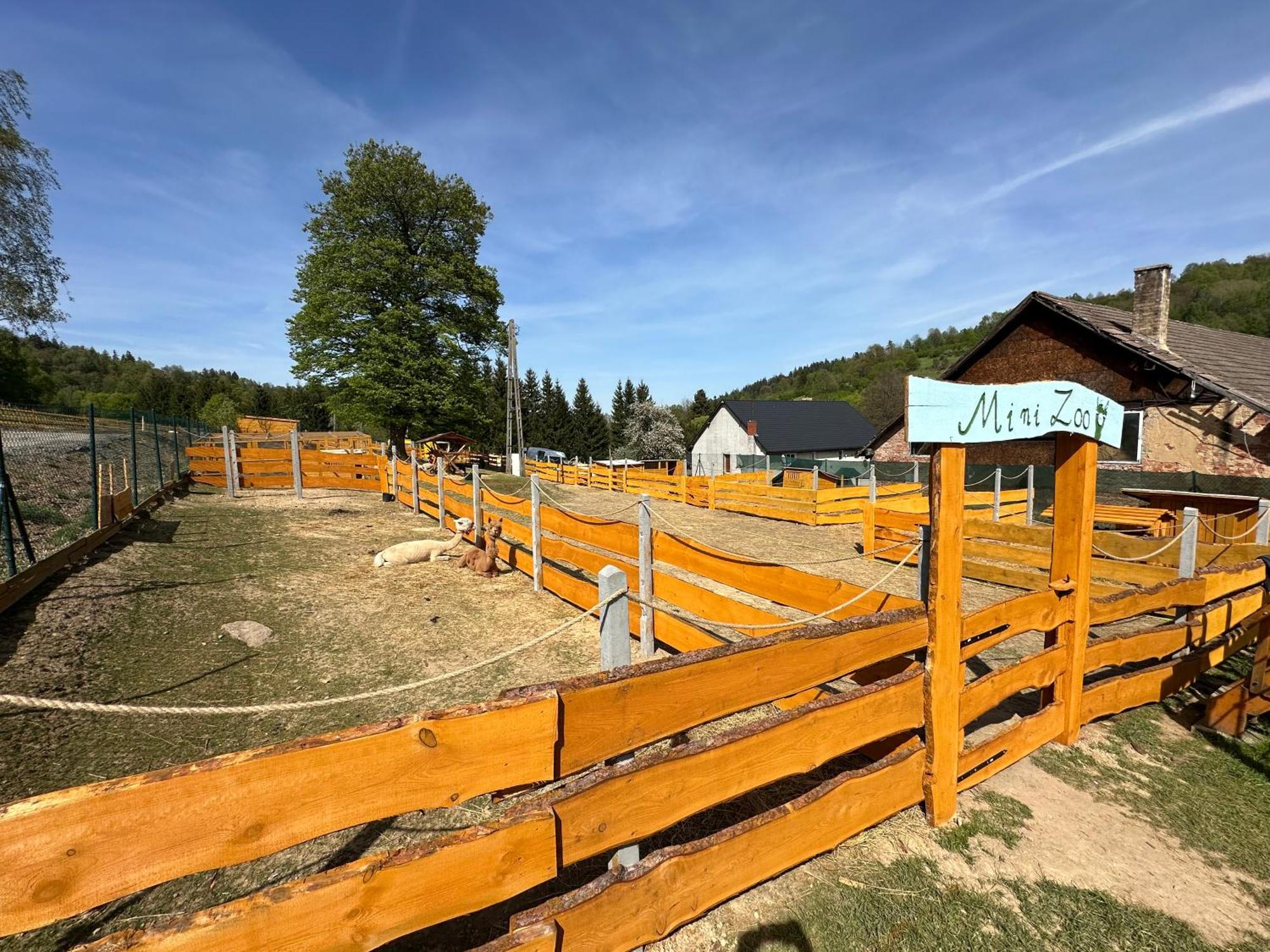 Ferienwohnung Agroturystyka Alpaka Konradow Konradow  Exterior foto